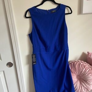 The Limited Women’s Dress